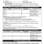 Adp Pay Stub Template Pdf