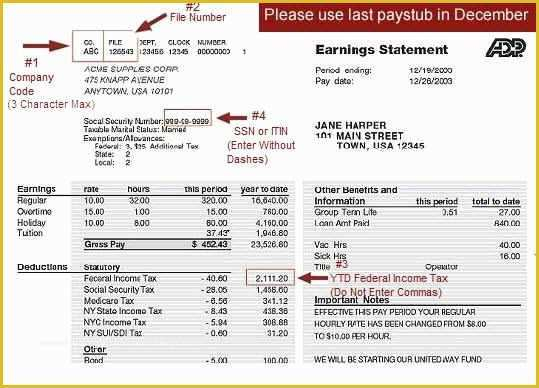 Adp Paycheck Stub Template Free Of Download 43 Adp Pay Stub Template 