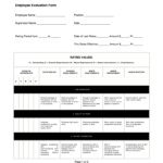 Home Health Aide Evaluation Form Fill Online Printable Fillable