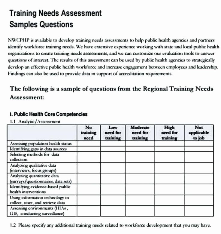 Information Technology Risk Assessment Template Luxury Camp Counselor 