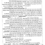 New Hire Reporting Form Montana Printable Pdf Download