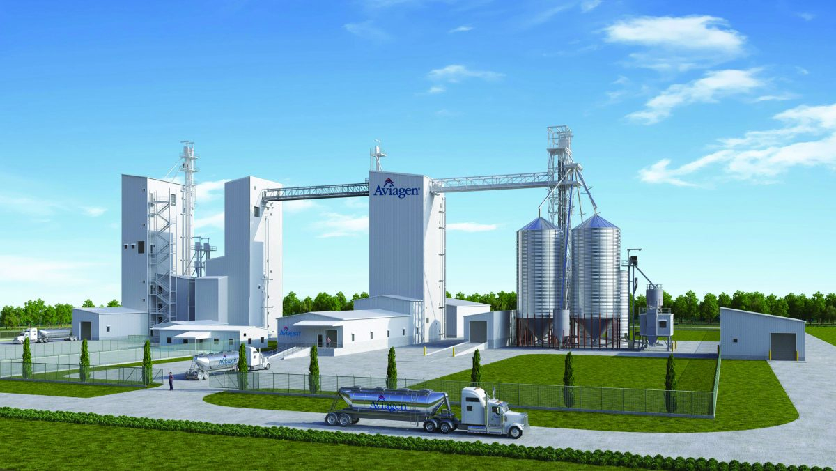 Aviagen Feed Mill Officially Coming To Pikeville The Bledsonian Banner