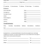 Employee Performance Appraisal Form PDF Download Performance