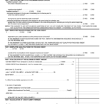 Fillable Form 300 Urban Enterprise Zone Employees Tax Credit And