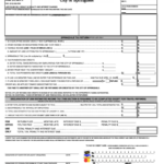 Form Nre Non Resident Employee Income Tax Return 2008 Printable Pdf