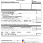 Form Nre Non Resident Employee Income Tax Return 2009 Printable Pdf