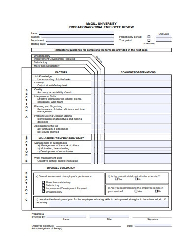 FREE 16 Employee Review Examples Templates Google Docs Word 