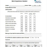 FREE 6 Work Assessment Forms In PDF MS Word