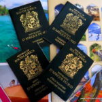 How To Apply For A South African Passport Online News 09 Jan 2018