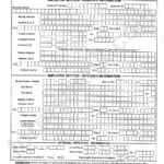 Montana New Hire Reporting Form Printable Pdf Download