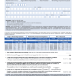 Nc Ez Fill Out And Sign Printable PDF Template SignNow