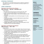 Placement Coordinator Resume Samples QwikResume