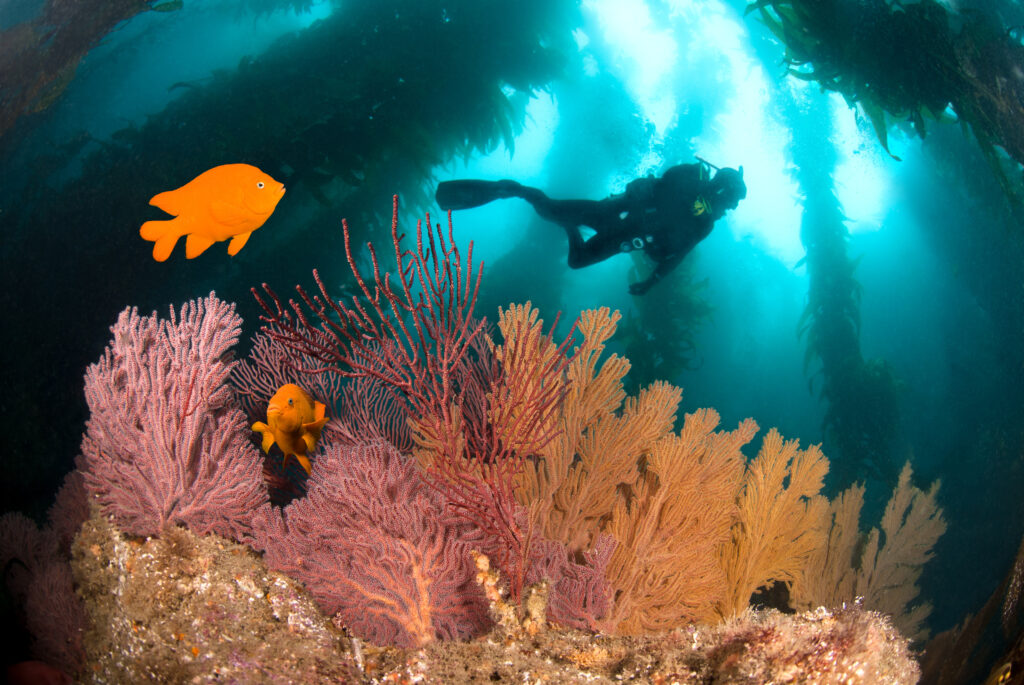 Scientist At Work I ve Dived In Hundreds Of Underwater Caves Hunting 