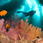 Scientist At Work I ve Dived In Hundreds Of Underwater Caves Hunting