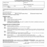 90 Day Probationary Period Forms New Free 14 90 Day Review Forms In Pdf