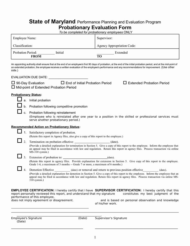 90 Day Probationary Period Forms New Free 14 90 Day Review Forms In Pdf 