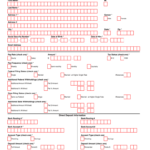 Adp Employee Information Form Fill Online Printable Fillable Blank