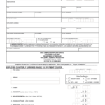 Application For Employee Earnings Wage Tax Account Form Printable Pdf