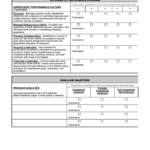 Employee Evaluation Form Sample Free Download