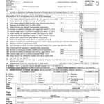 Form 943 Employer S Annual Federal Tax Return For Agricultural