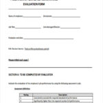 FREE 11 Probation Review Forms In PDF Ms Word