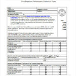 FREE 20 Employee Evaluation Forms In MS Word