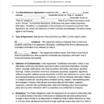 Free Texas Non Disclosure Agreement Template PDF WORD