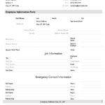 New Employee Information Template