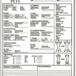 Pet Exam Form Vet Medicine Veterinary Receptionist Exam