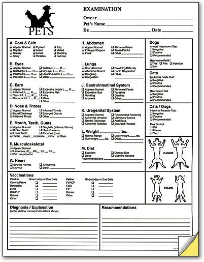 Pet Exam Form Vet Medicine Veterinary Receptionist Exam